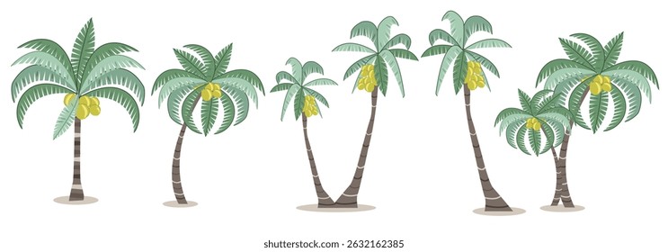  Set of vector illustration, palm tree, palm tree with coconut, palm tree branch, coconut palm