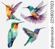 hummingbird watercolor