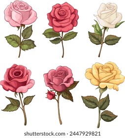 Set of vector illustration of roses