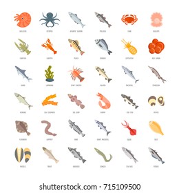 Set vector illustration of seafood. Flat elements on white background.