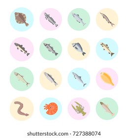 Set vector illustration of seafood. Flat elements on white background.