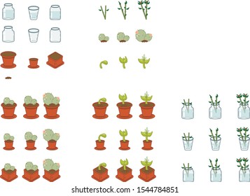 set vector illustration of seedlings in pots