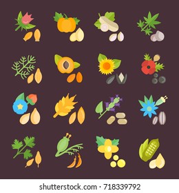 Set vector illustration of seeds. Flat elements on white background.