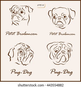 Set of a vector Illustration shows a dog breeds. Petit Brabancon, Pug-dog