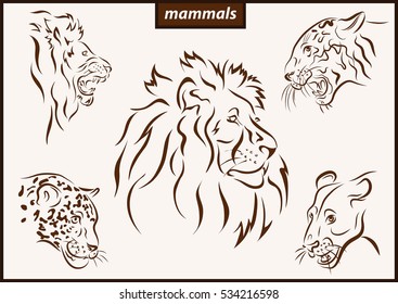 Set of a vector illustration shows a mammals lion, tiger, leopard.