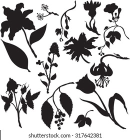 Set vector illustration of silhouettes of plants and flowers  