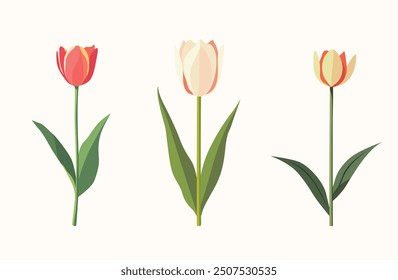 Set of vector illustration of a single flower, such as a tulip or daisy