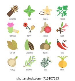 Set vector illustration of spice. Flat elements on white background