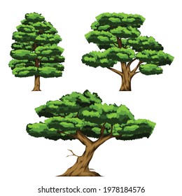 Set vector illustration Of Three big trees