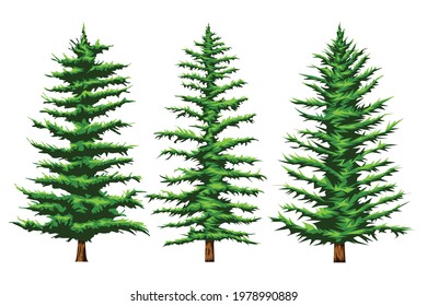 Set vector illustration Of Three types  pinetrees