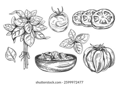 Conjunto de Ilustración vectorial de tomate, albahaca, plato de madera con salsa. Verduras frescas orgánicas, cosecha saludable. Ingredientes, productos agrícolas. Dibujado a mano, estilo de arte de línea por negro, fondo aislado