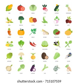 Set vector illustration of vegetables. Flat elements on white background.