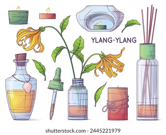 Set of vector illustration of ylang ylang essential oil. Aromatherapy elements. Glass bottle with dropper, pipette, candles, diffuser. Cosmetic, perfumery and aromatherapy concept.