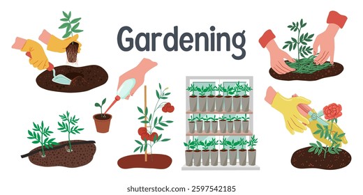 Set of vector illustrations about growing plants and vegetables . Vector illustration
