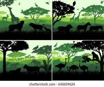 set of Vector illustrations of african savannah safari landscape with wildlife animals silhouettes in sunset design templates