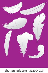 set of vector illustrations of air feather gray