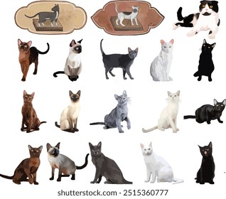 Conjunto de ilustrações vetoriais de gatos tailandeses antigos, incluindo Suphalak, Siamese, Korat, Khao Manee, Konja. Ilustrações vetoriais de gatos tailandeses. diferentes raças e cores de gatos em um fundo branco.