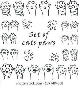 set of vector illustrations of animal paws. Simple, doodle