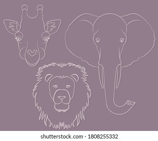 Set of vector illustrations of animals of Africa. Stroke with shadow. Collection of heads of wild animals. Lion, giraffe, elephant.