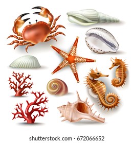 Set of vector illustrations, badges, stickers, seashells of various kinds and coral, crab, starfish in realistic style isolated on white