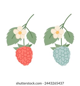 Set of vector illustrations of berries. Raspberry branch and blackberry branch in flat style. Blooming twig with berries.