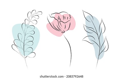 A set of vector illustrations of branches, leaves, flowers.Black and white drawing.Elements for greeting cards.Design elements for logo, frame, wreath, decoration.