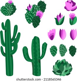 Set of vector illustrations of cactuses,succulents, flowers and compositions.Wild west botanical elements,prairie plants.For stickers,prints,decoration and design