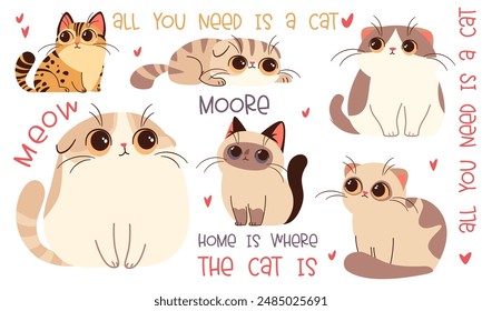 Set of vector illustrations in cartoon style. Super Cute cats with big eyes and the lettering with the hearts  on white background