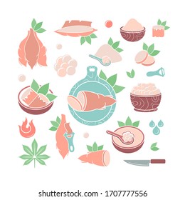A set of vector illustrations of cassava on a white background. Elements for your project.
