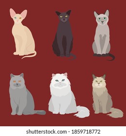 Set of vector illustrations cat cats white black gray Siamese, Sphinx