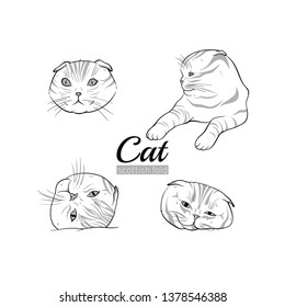 Set vector illustrations of cats scottish fold breed.