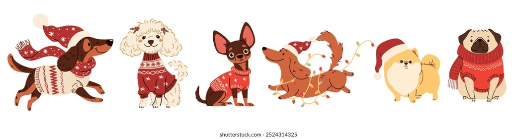 A set of vector illustrations in children's style on Christmas theme. Cute dogs in warm sweaters and scarves, Santa Claus hat and Christmas garland. Dachshund Pug Spitz Poodle Spaniel Chihuahua