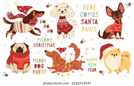 A set of vector illustrations in children's style on Christmas theme. Cute dogs in warm sweaters and scarves, Santa Claus hat and Christmas garland. Dachshund Pug Spitz Poodle Spaniel Chihuahua. Chris