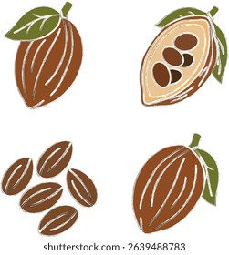 Set of vector illustrations of cocoa beans isolated on transparent background.