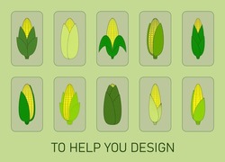 Set of vector illustrations of corn cobs. Design assistance. Flat design.
