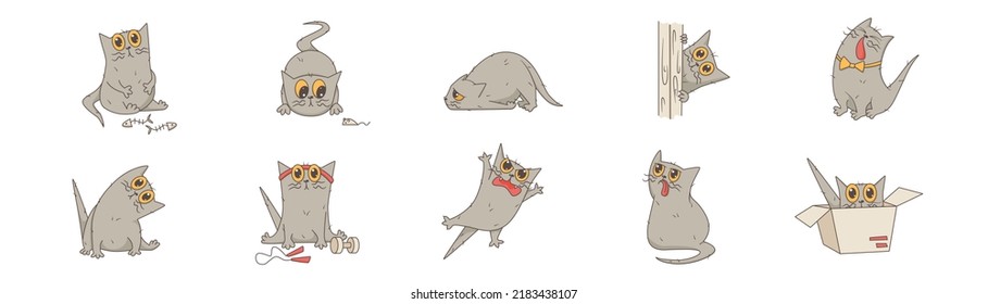 A set of vector illustrations of a cute, mischievous, cheerful, active cat. Character design in different poses. A set of funny pets isolated on a white background. Cat.