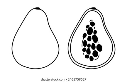 A set of vector illustrations depicting whole and sliced papaya, showing an accurate and detailed outline, is ideal for culinary and educational graphics. Cute linear illustration
