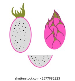 A set of vector illustrations of the dragon fruit.