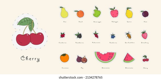 Set of vector illustrations. Drawing fruit icons in doodle style. All popular fruits.