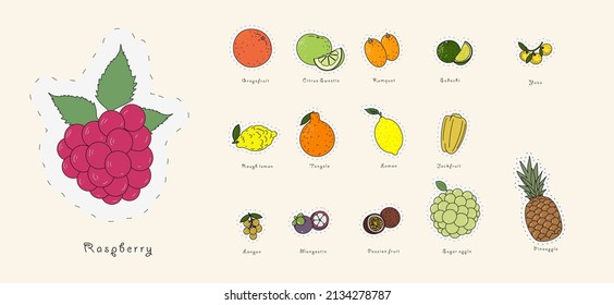 Set of vector illustrations. Drawing fruit icons in doodle style. All popular fruits. 