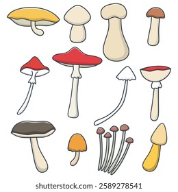 Set of vector illustrations of edible mushrooms, chanterelle, cep, amanita and truffle isolated. Types of forest wild mushrooms.