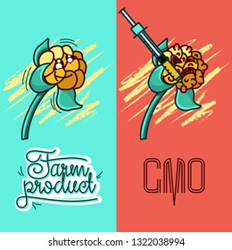 Set of vector illustrations of a farm product vs GMO syringe. healthy organic food vs harmful GMO foods. character cloudberry