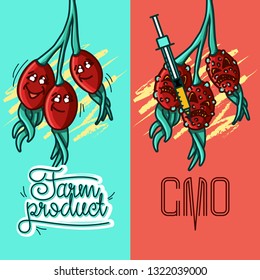 Set of vector illustrations of a farm product vs GMO syringe. healthy organic food vs harmful GMO foods. character dog rose