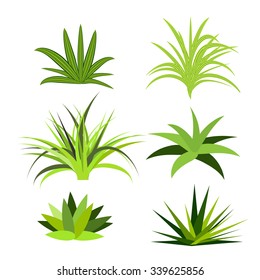 A set of vector illustrations featuring fragments of green grass isolated on a white background, ideal for nature-themed designs and presentations.