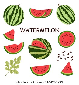 Set of vector illustrations of flat watermelon. Whole watermelon, cut watermelon, . flat watermelon vector