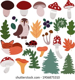 Set of vector illustrations with forest animals and plants. Mushrooms, leaves, berries, owl, fox, ladybug for stickers, design, prints, scrapbooking, decoration.