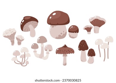 Set of vector illustrations of forest mushrooms isolated on white background
