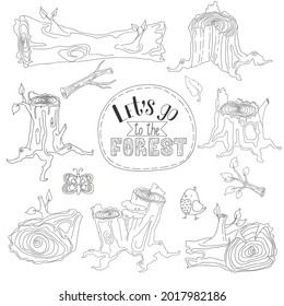 Set of vector illustrations of forests, branches and stumps with lettering, birds and butterflies. Black and white pictures in trendy line art style for logos and websites.