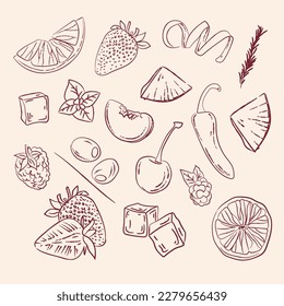 Set of vector illustrations of fruit for making cocktails hand-drawn. vintage fruit illustration for menus