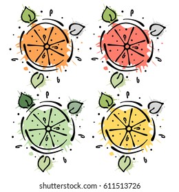Set of vector illustrations of fruits. Lime, lemon, grapefruit, orange, Hand drawn contour lines and strokes with splash, drops, spots.